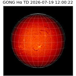 gong - 2026-07-19T12:00:22