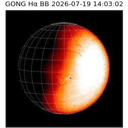 gong - 2026-07-19T14:03:02