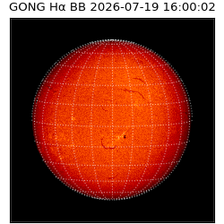 gong - 2026-07-19T16:00:02