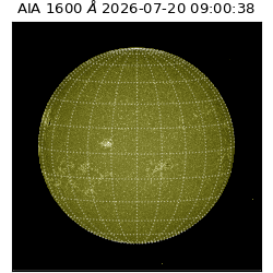saia - 2026-07-20T09:00:38.131000