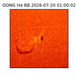 gong - 2026-07-20T01:00:02