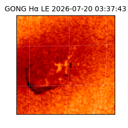 gong - 2026-07-20T03:37:43