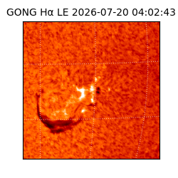 gong - 2026-07-20T04:02:43