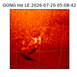 gong - 2026-07-20T05:08:42