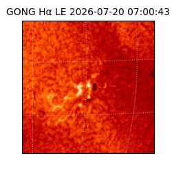 gong - 2026-07-20T07:00:43