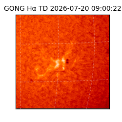 gong - 2026-07-20T09:00:22