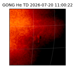 gong - 2026-07-20T11:00:22