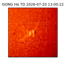gong - 2026-07-20T13:00:22