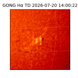 gong - 2026-07-20T14:00:22