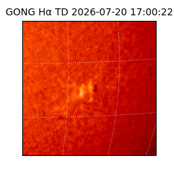 gong - 2026-07-20T17:00:22