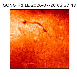 gong - 2026-07-20T03:37:43