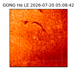 gong - 2026-07-20T05:08:42