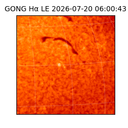 gong - 2026-07-20T06:00:43