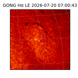 gong - 2026-07-20T07:00:43