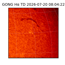 gong - 2026-07-20T08:04:22