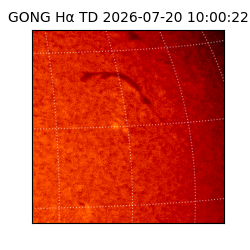 gong - 2026-07-20T10:00:22