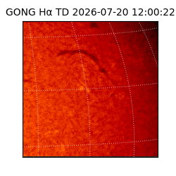 gong - 2026-07-20T12:00:22