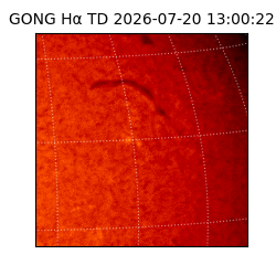 gong - 2026-07-20T13:00:22