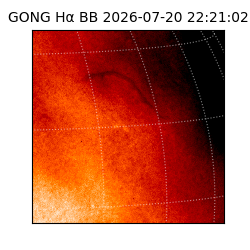 gong - 2026-07-20T22:21:02