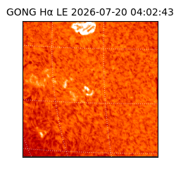 gong - 2026-07-20T04:02:43