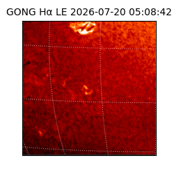 gong - 2026-07-20T05:08:42