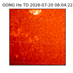 gong - 2026-07-20T08:04:22