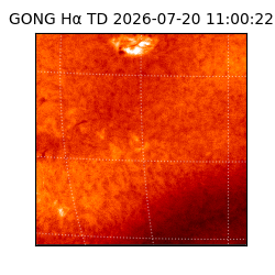 gong - 2026-07-20T11:00:22