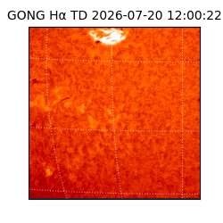 gong - 2026-07-20T12:00:22
