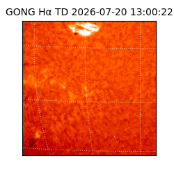 gong - 2026-07-20T13:00:22