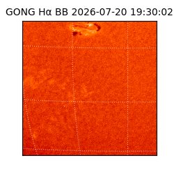 gong - 2026-07-20T19:30:02