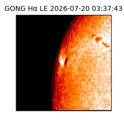 gong - 2026-07-20T03:37:43