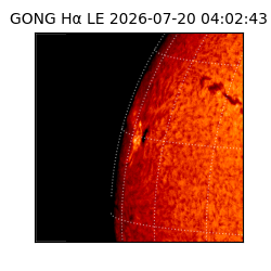 gong - 2026-07-20T04:02:43