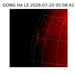 gong - 2026-07-20T05:08:42