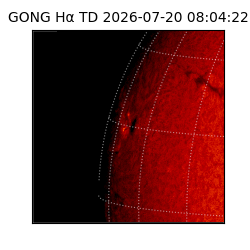 gong - 2026-07-20T08:04:22