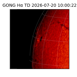 gong - 2026-07-20T10:00:22