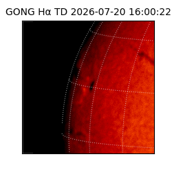 gong - 2026-07-20T16:00:22