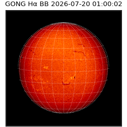gong - 2026-07-20T01:00:02