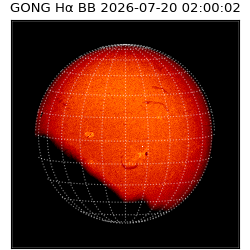 gong - 2026-07-20T02:00:02