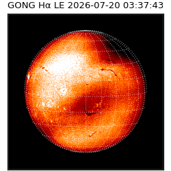 gong - 2026-07-20T03:37:43