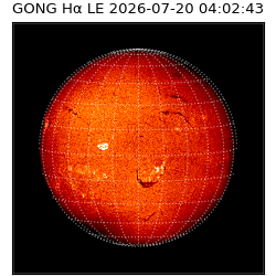 gong - 2026-07-20T04:02:43