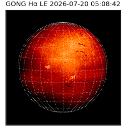 gong - 2026-07-20T05:08:42
