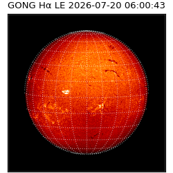 gong - 2026-07-20T06:00:43