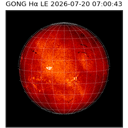 gong - 2026-07-20T07:00:43
