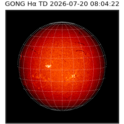 gong - 2026-07-20T08:04:22
