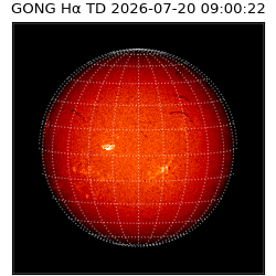 gong - 2026-07-20T09:00:22