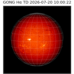 gong - 2026-07-20T10:00:22