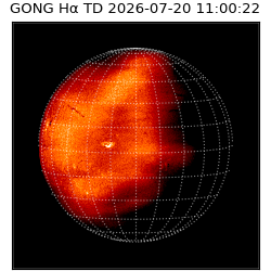 gong - 2026-07-20T11:00:22