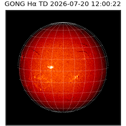 gong - 2026-07-20T12:00:22