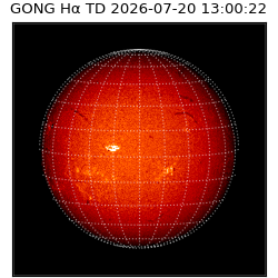 gong - 2026-07-20T13:00:22