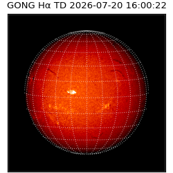 gong - 2026-07-20T16:00:22